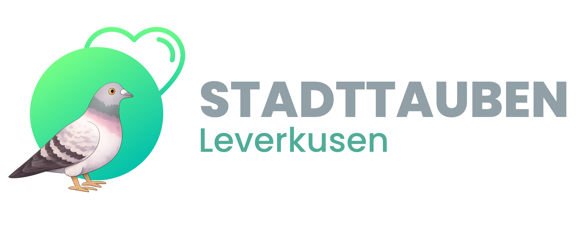 Stadttauben Leverkusen